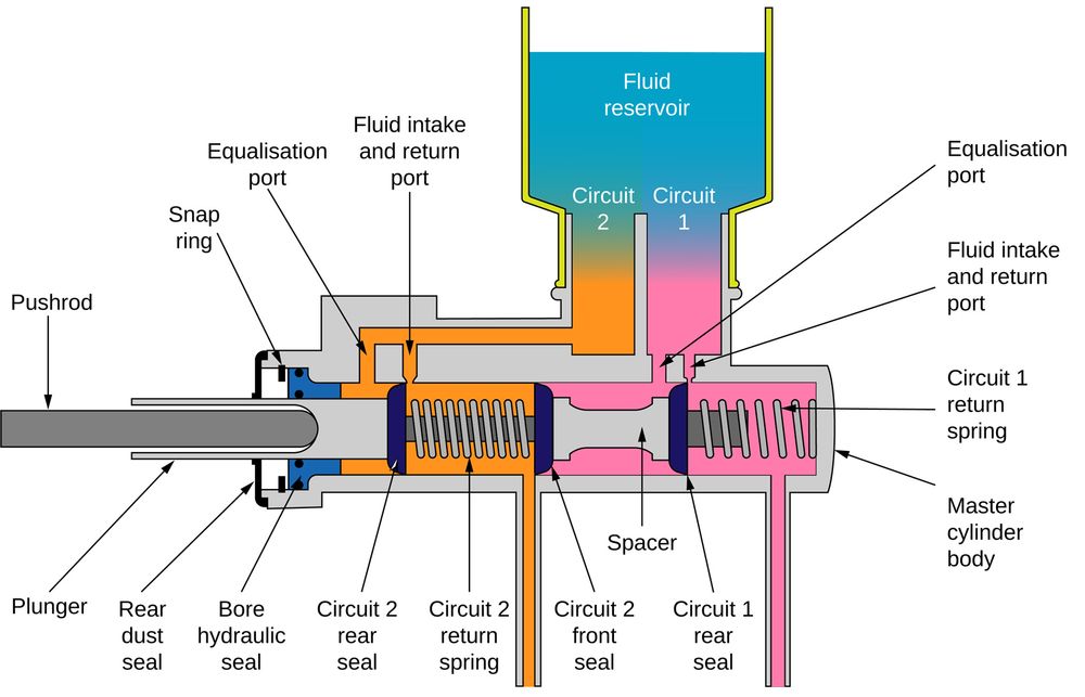 Image: Wikimedia Commons/Fred the Oyster
